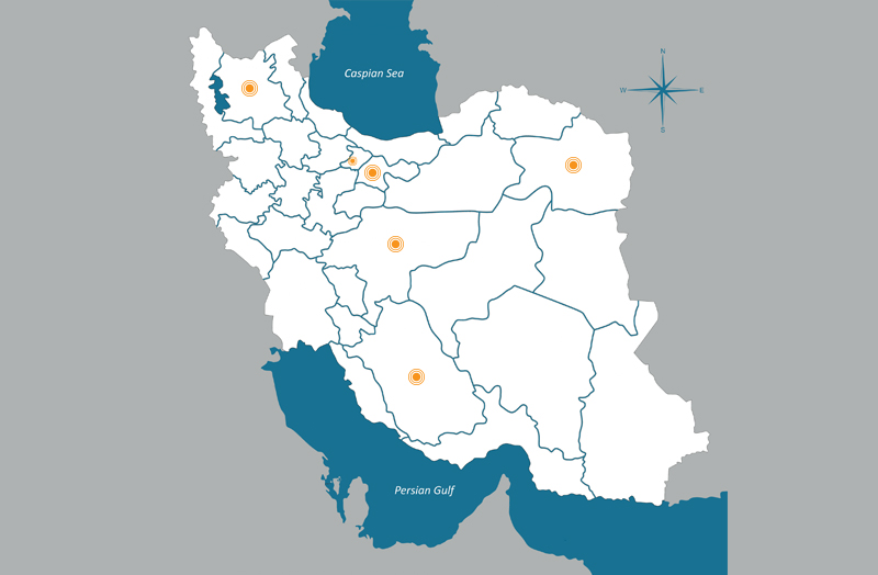 Development of Respina branches